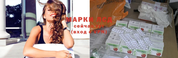 гидра Аркадак