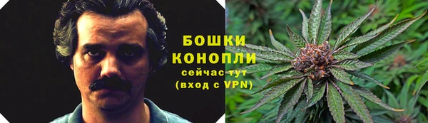 гидра Аркадак