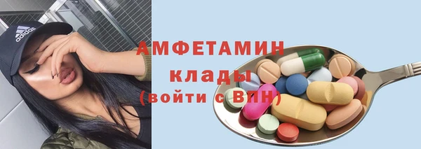 гидра Аркадак