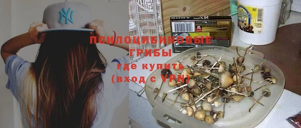 гидра Аркадак