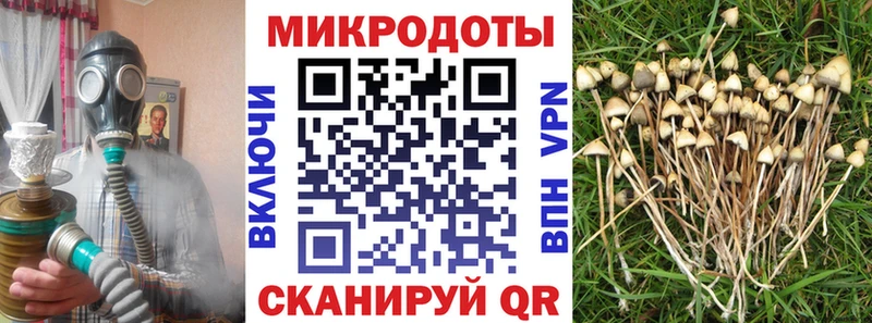 Псилоцибиновые грибы Psilocybe  Купить  Биробиджан 